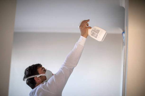 Best Commercial Mold Removal  in Jefferson, TX