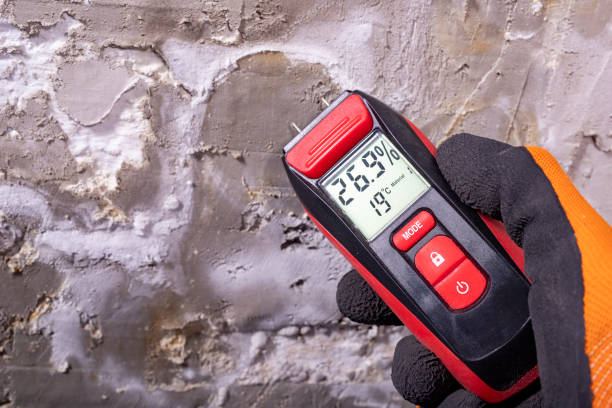 Best Black Mold Removal  in Jefferson, TX