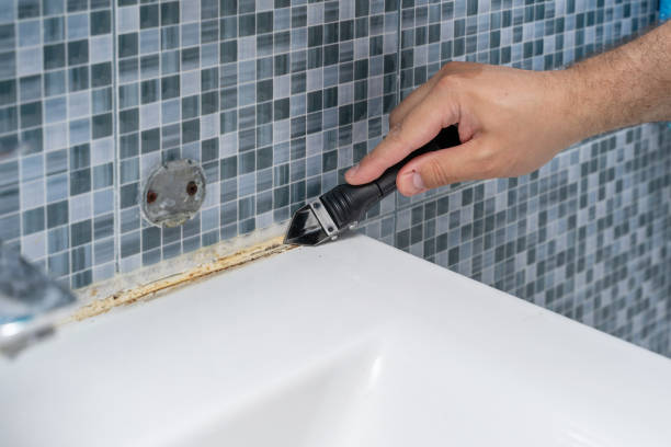  Jefferson, TX Mold Removal Pros