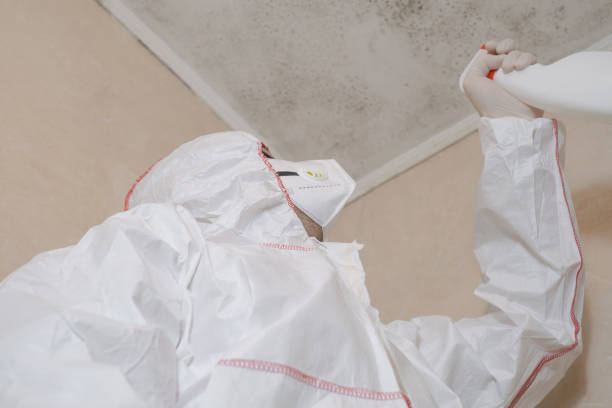 Best Residential Mold Removal  in Jefferson, TX