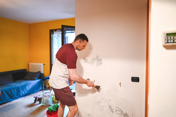 Best Attic Mold Removal  in Jefferson, TX